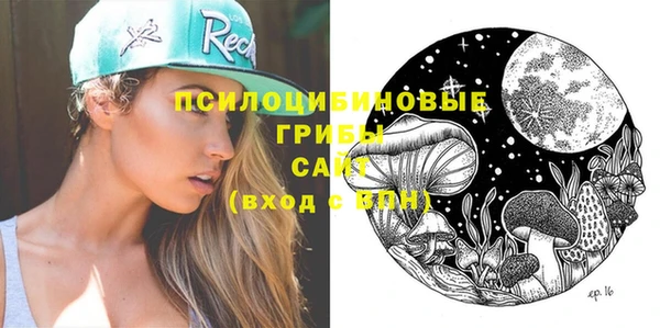 ешки Гусиноозёрск